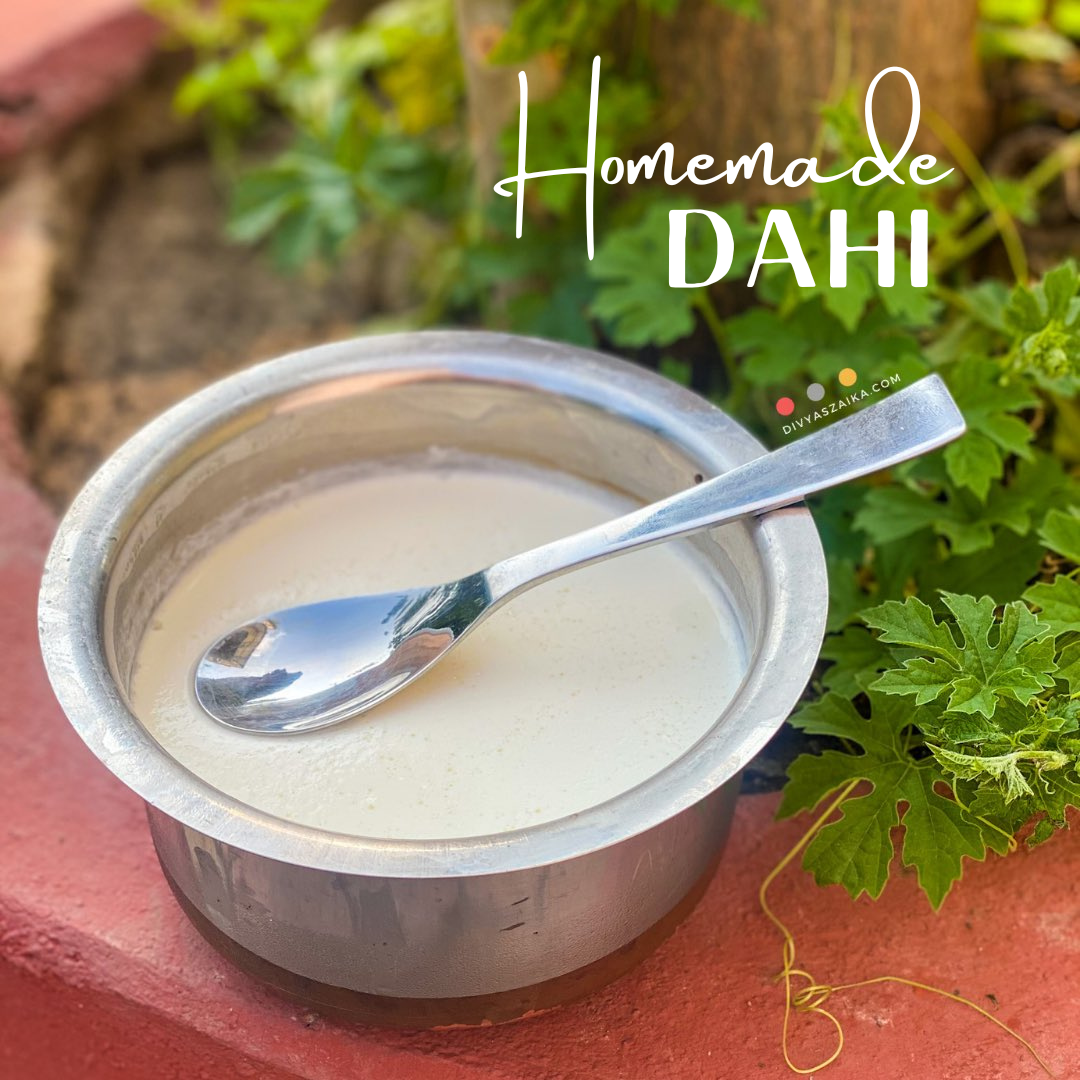 How To Make Homemade Dahi/curd - Divya